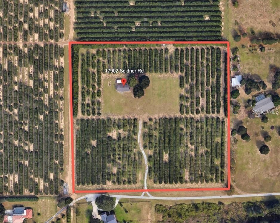 17902 SEIDNER ROAD, WINTER GARDEN, FL — photo 3 of 3
