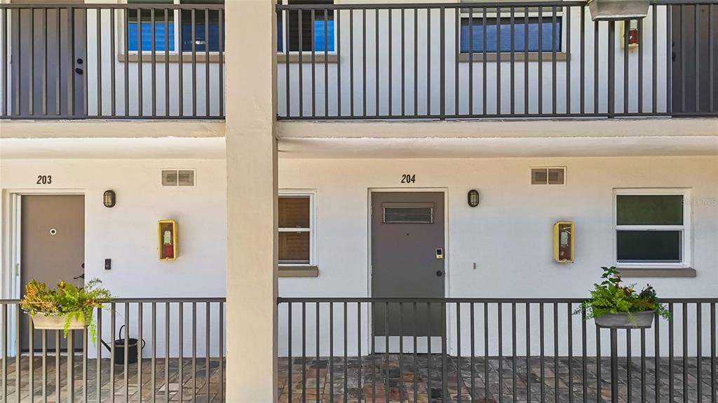 The exterior of a multi-story apartment building shows two unit doors labeled 203 and 204 — 3789 46TH AVENUE S UNIT 204, ST PETERSBURG, FL