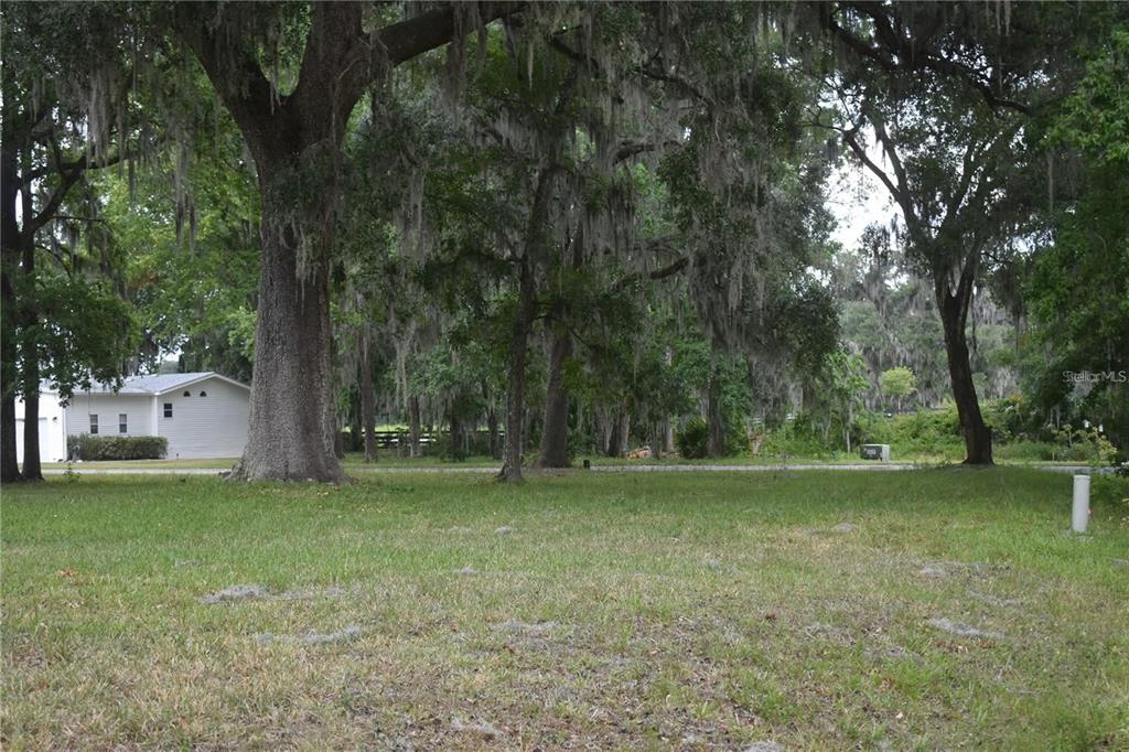 A grassy lot with large, moss-covered oak trees and a white house in the background — LOT 6 BLK D LEXINGTON CIRCLE, WILDWOOD, FL
