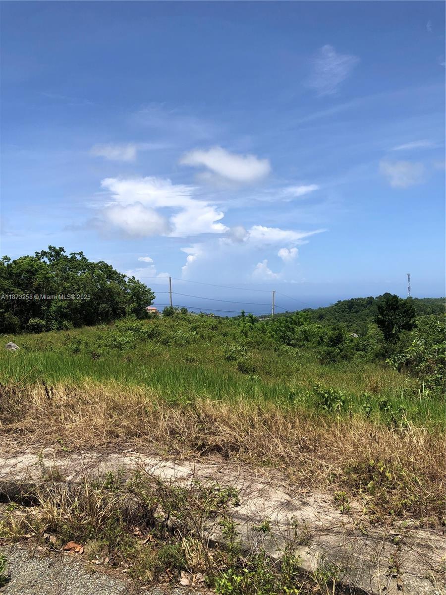A grassy, sloping lot overlooks a distant ocean view under a bright blue sky — MINARD PEN PART OF MAINARD PEN, JA, JA