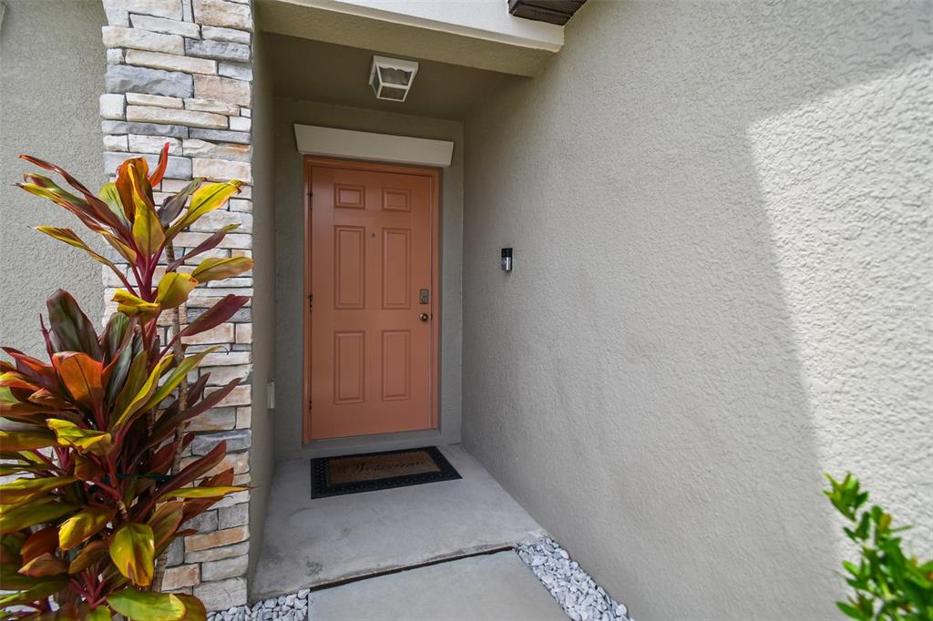 13603 WILD GINGER STREET, RIVERVIEW, FL — photo 3 of 30