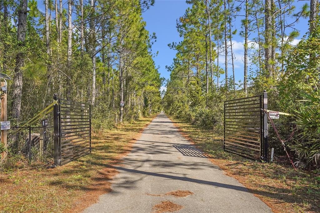 An open metal gate leads to a paved driveway surrounded by tall pine trees — 11160 N US HIGHWAY 1, PALM COAST, FL