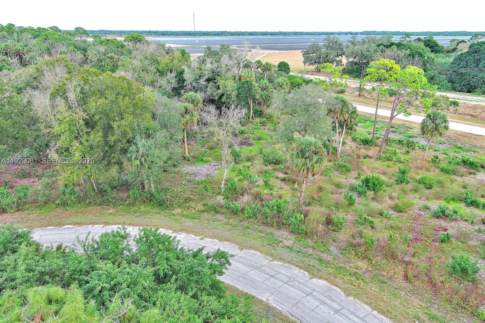 An aerial view shows a paved road curving through a wooded, undeveloped lot — 171 CAROUSEL AVE, La Belle FL 33935, LA BELLE, FL