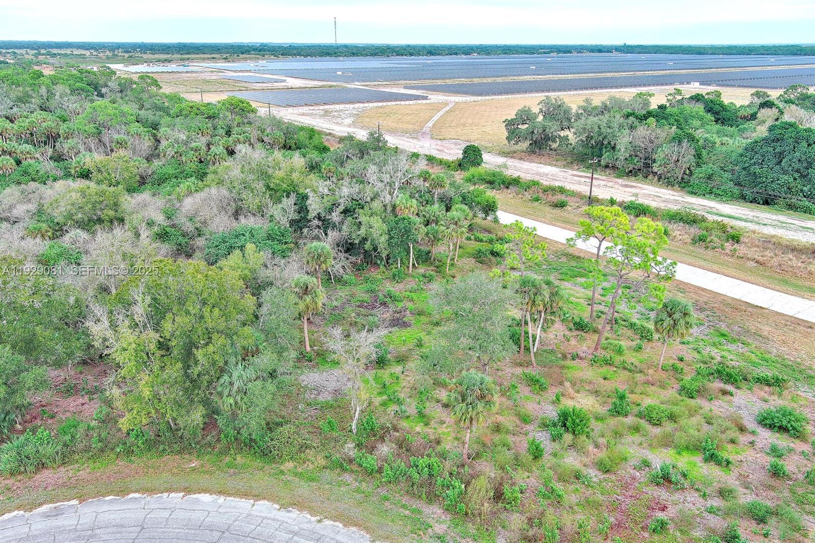 An aerial view shows a vacant, wooded lot adjacent to a road and solar farm — 171 CAROUSEL AVE, La Belle FL 33935, LA BELLE, FL