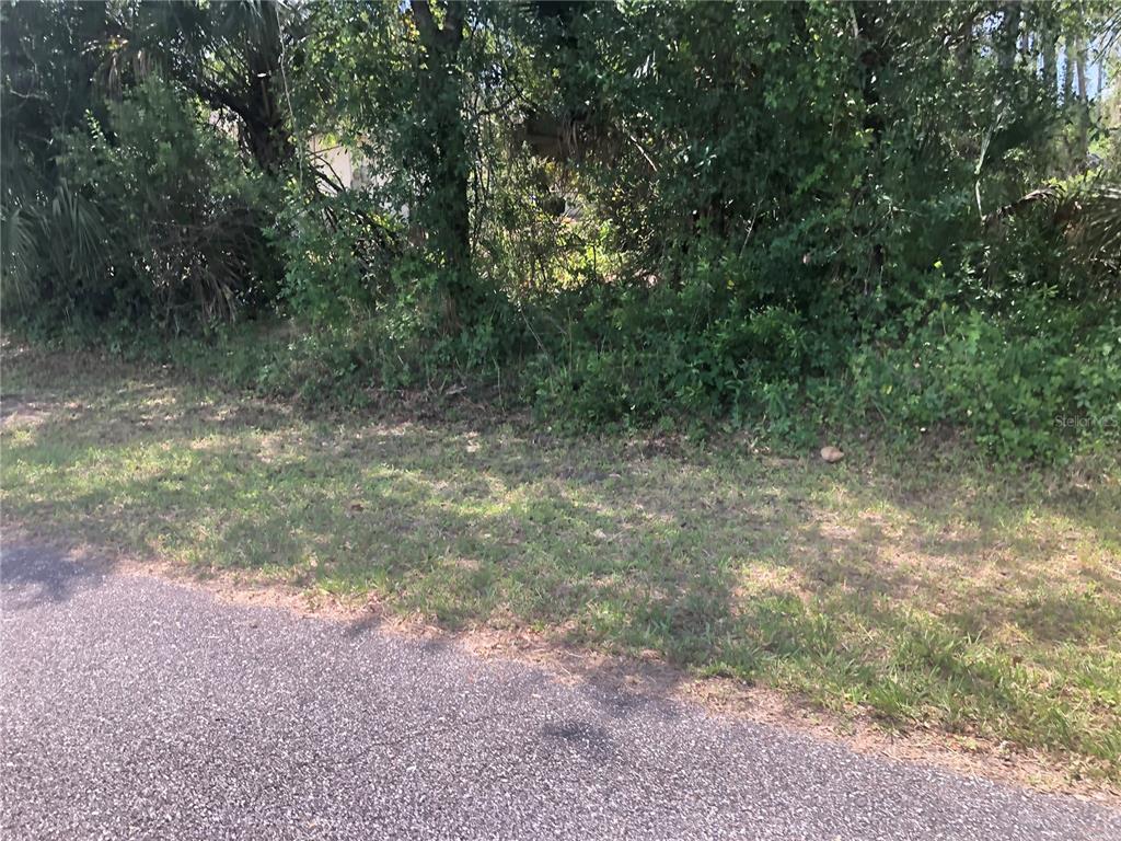 A view of a grassy roadside edge leading into a dense, overgrown wooded area — CHARLAND AVENUE, NORTH PORT, FL