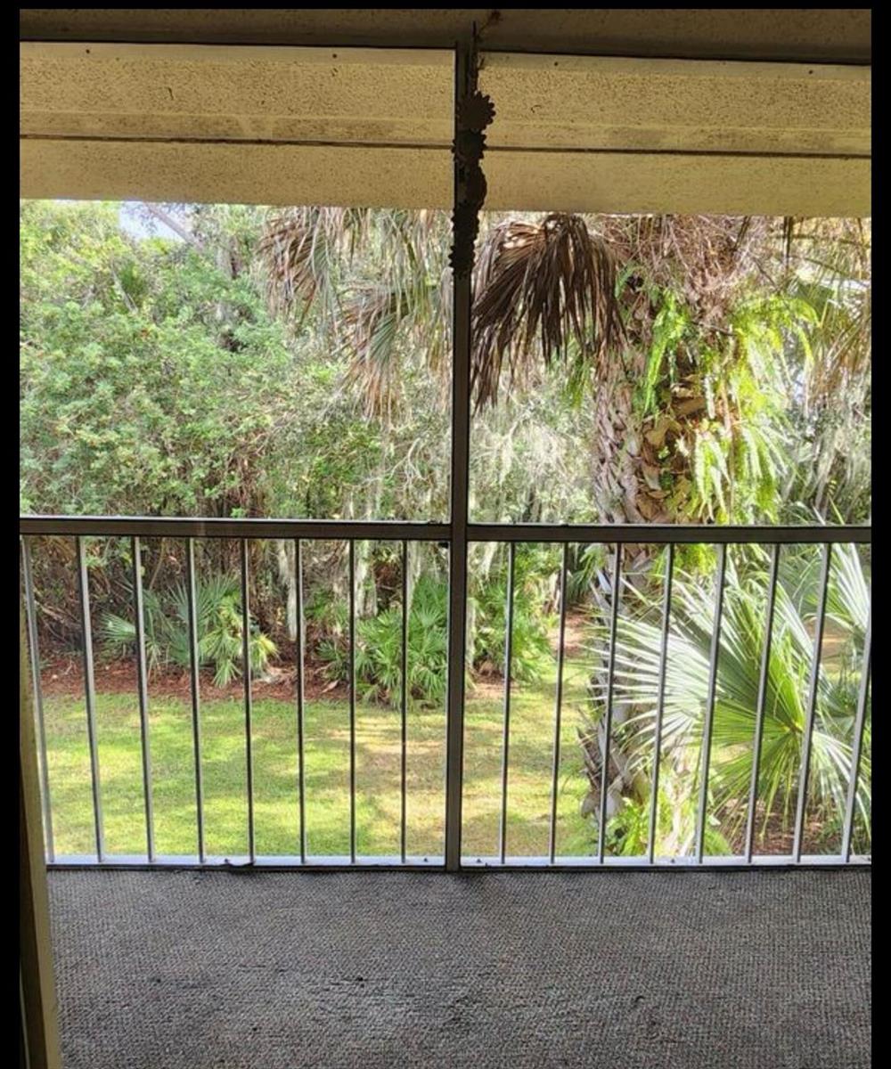 A screened-in balcony with metal railings overlooks a lush, wooded backyard with palm trees — 1640 NE Sunny Brook Lane # a203, Palm Bay FL 32905, PALM BAY, FL