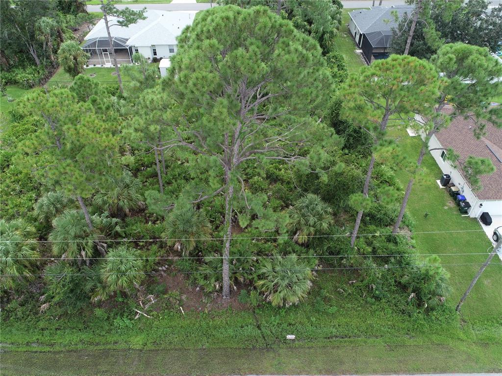 An aerial view shows a wooded residential lot featuring several tall pine trees and palms — Lot 38 ALLSUP TERRACE, NORTH PORT, FL
