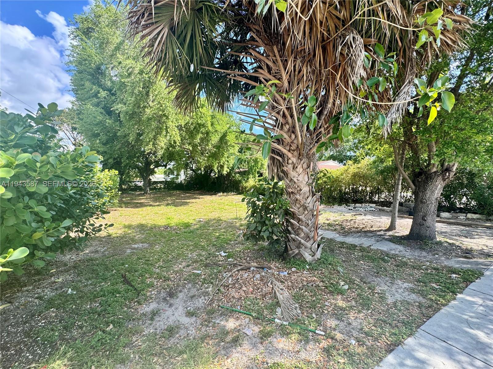 A palm tree stands in the foreground of a grassy, partially shaded residential lot — 629 NW 65th St, Miami FL 33150, MIAMI, FL