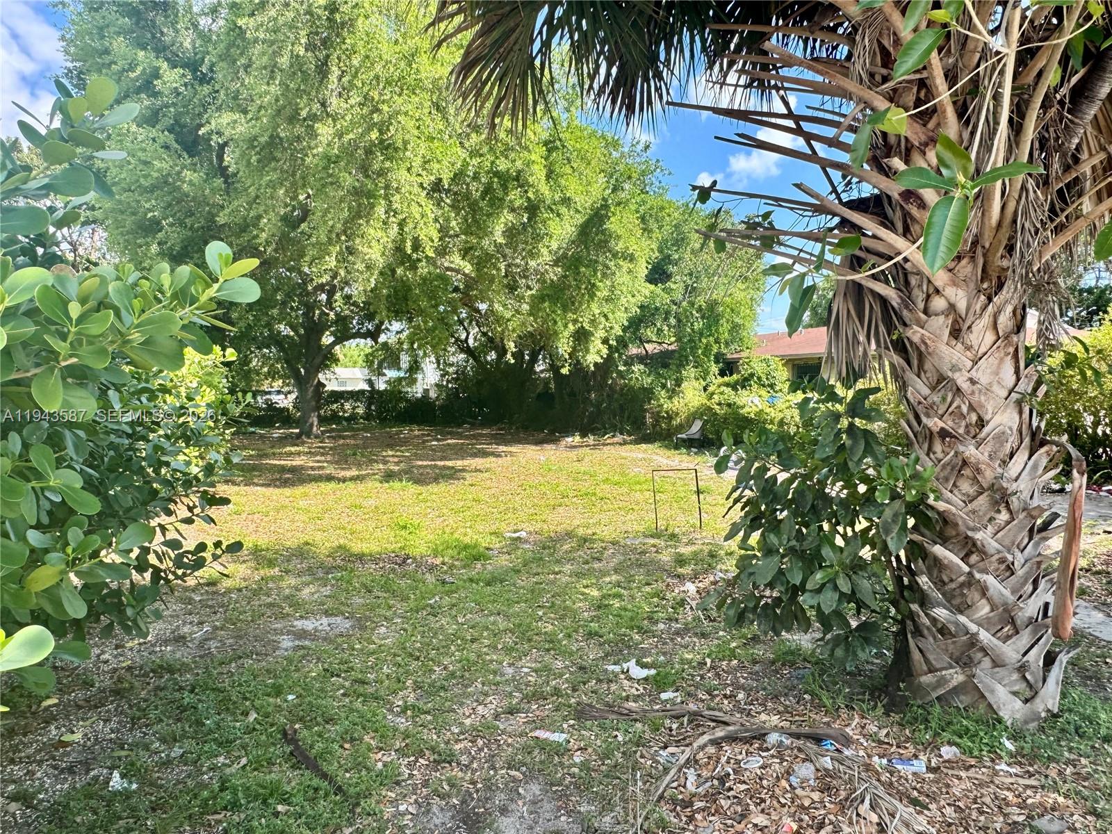 A vacant, grassy lot is framed by a palm tree and lush green foliage — 629 NW 65th St, Miami FL 33150, MIAMI, FL