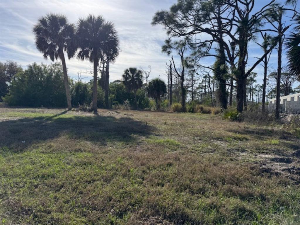 A vacant, grassy lot features several palm trees and pine trees under a sunny sky — 237 BOUNDARY BOULEVARD, ROTONDA WEST, FL