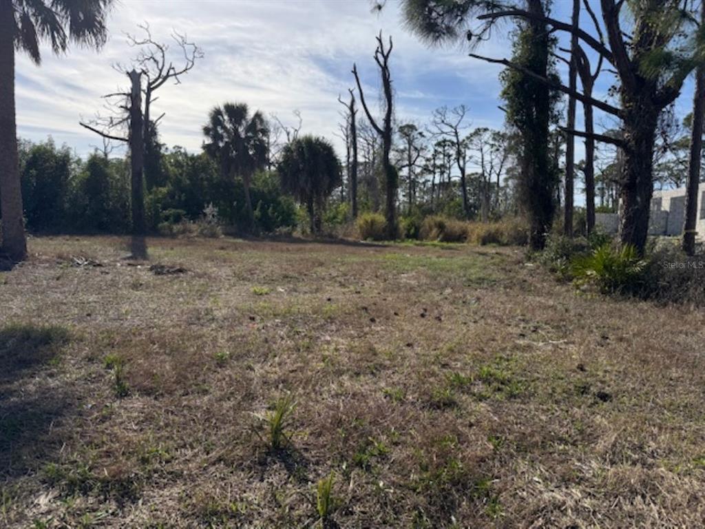 A vacant, grassy lot features scattered trees and dense vegetation under a partly cloudy sky — 237 BOUNDARY BOULEVARD, ROTONDA WEST, FL