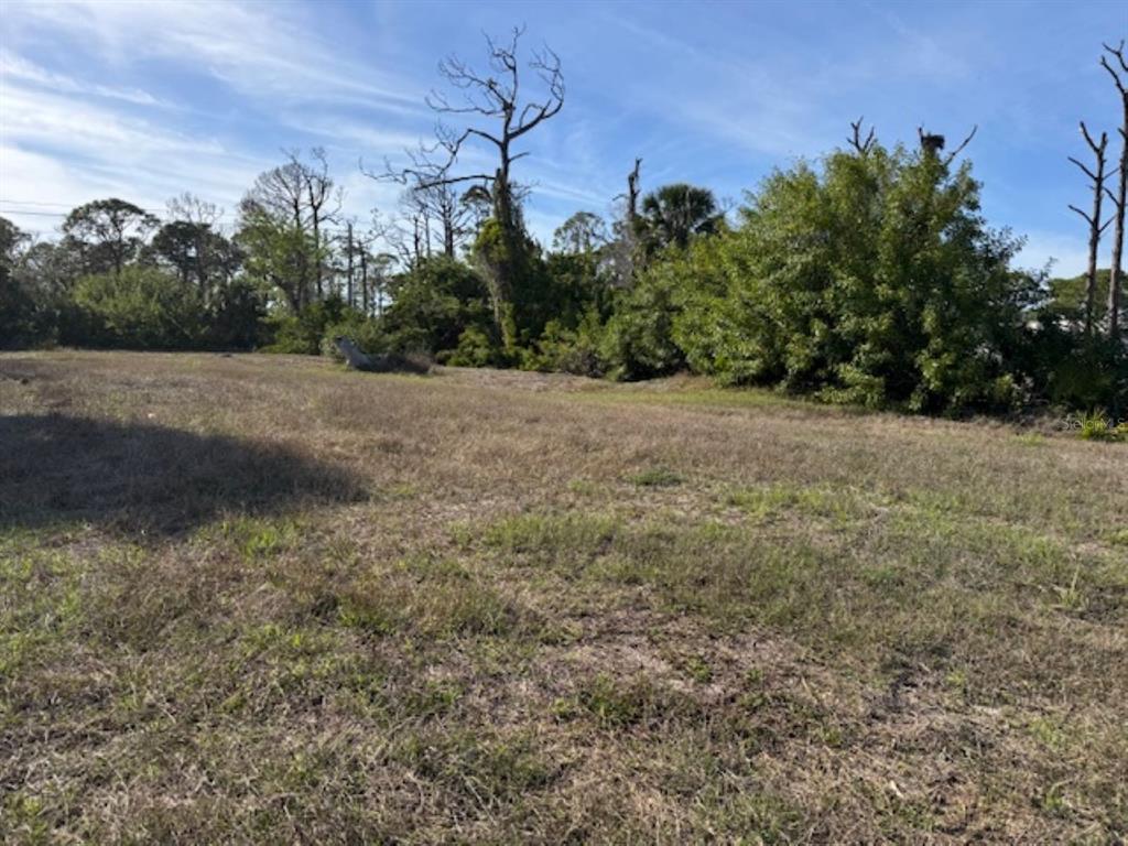 A grassy, vacant lot features scattered trees and dense vegetation under a blue sky — 237 BOUNDARY BOULEVARD, ROTONDA WEST, FL
