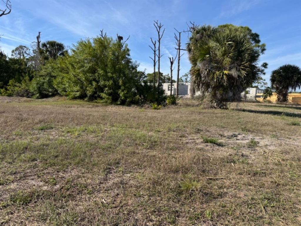 A grassy, undeveloped lot features scattered trees and shrubs under a clear blue sky — 237 BOUNDARY BOULEVARD, ROTONDA WEST, FL