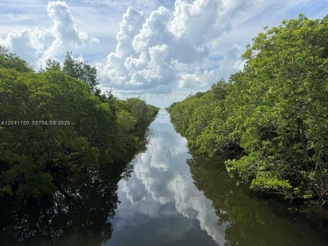 A narrow canal flows between dense green trees under a cloudy blue sky — 9979 Fairchild Way, Coral Gables FL 33156, CORAL GABLES, FL