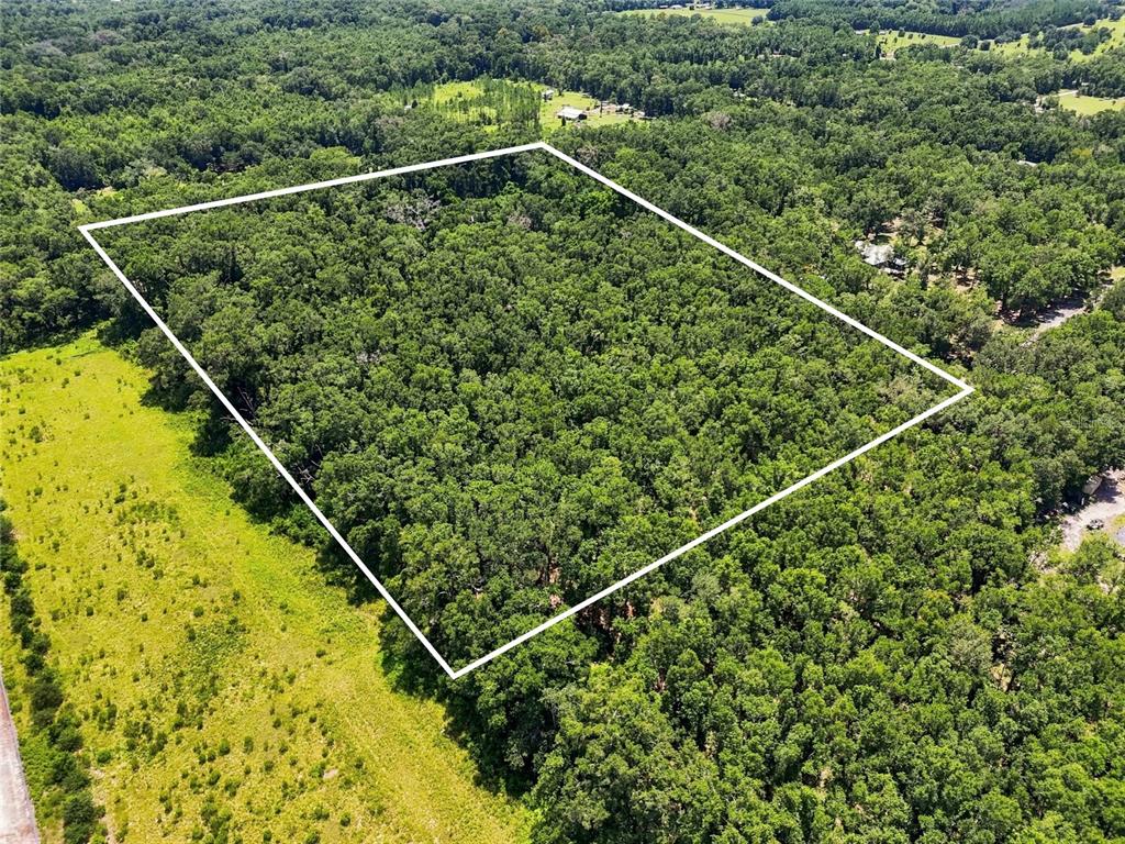 An aerial view shows a rectangular plot of dense forest outlined in white — 459 SW BIGFOOT COURT, FORT WHITE, FL