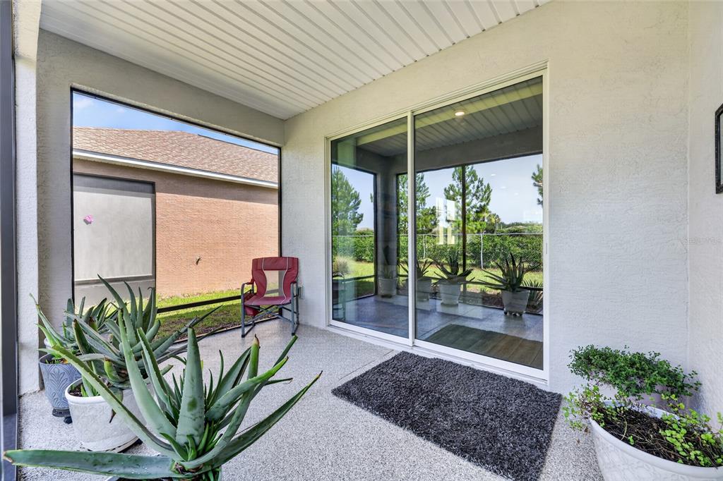 A covered patio features a sliding glass door, potted aloe plants, and a gray rug — 7909 SW 89TH CIRCLE, OCALA, FL