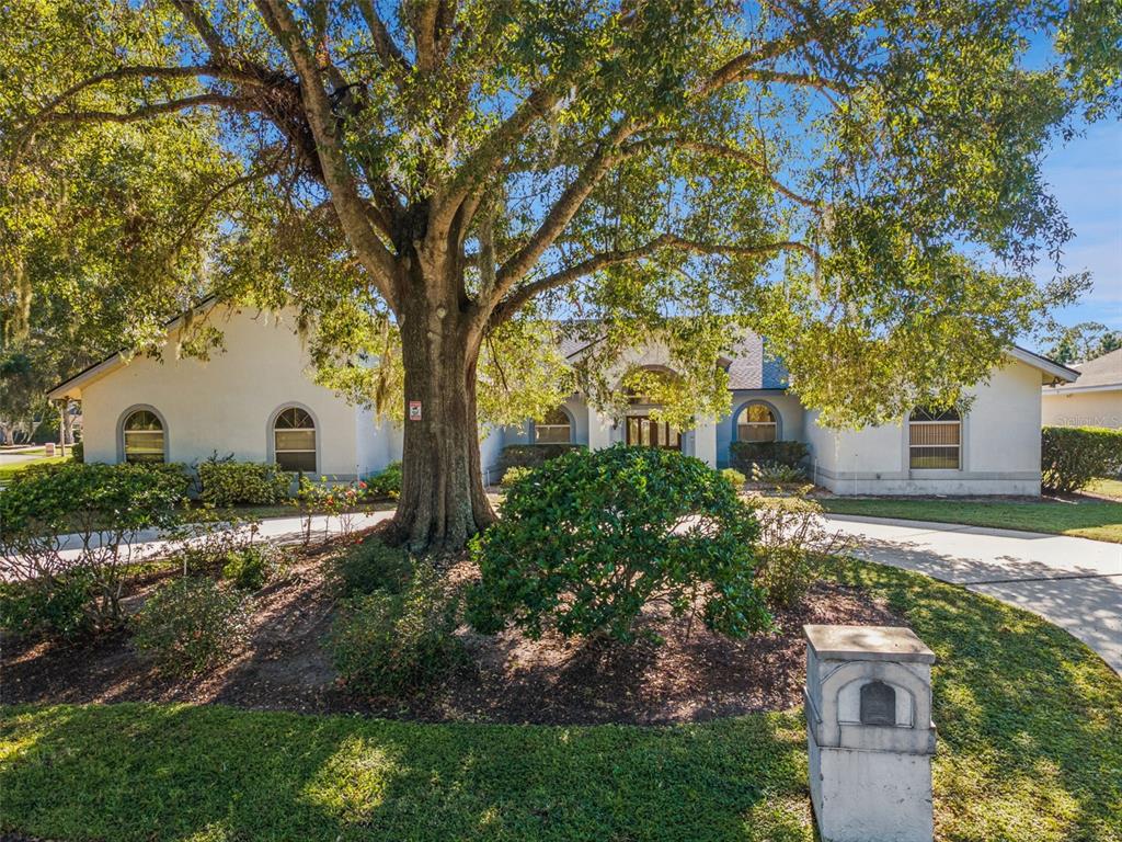 A large oak tree stands in front of a single-story house with a circular driveway — 2964 PLANTATION ROAD, WINTER HAVEN, FL