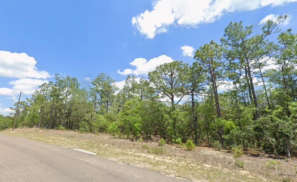 A paved road runs alongside a wooded lot with tall pine trees under a blue sky — 9313 N HAWKWEED DRIVE, CITRUS SPRINGS, FL