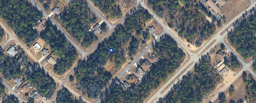 This is an aerial satellite view of a residential neighborhood with houses and wooded lots — 9313 N HAWKWEED DRIVE, CITRUS SPRINGS, FL