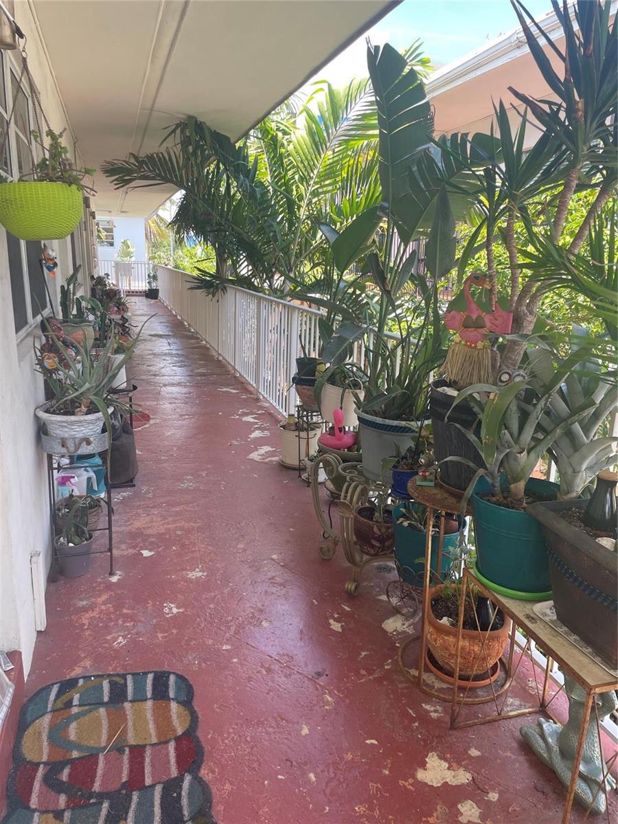 MIAMI BEACH, FL — photo 2 of 12