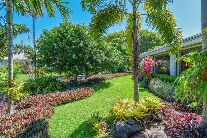 A lush backyard garden features palm trees, tropical plants, and a grassy lawn beside a house — 437 French Royale Circle, Atlantis FL 33462, ATLANTIS, FL
