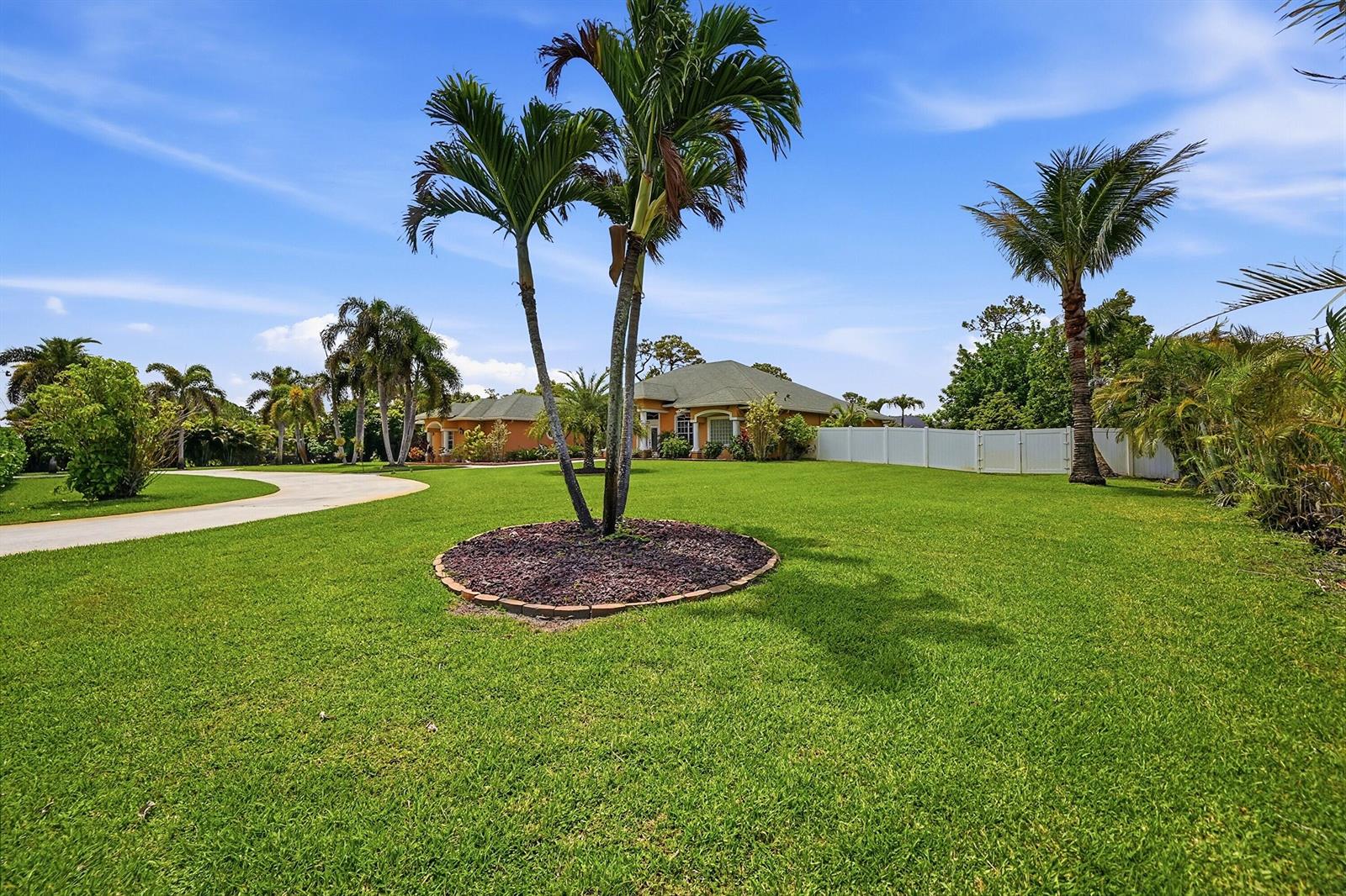 A large grassy front yard features a palm tree cluster and a driveway leading to a house — 14310 N 85th Rd Road N, FL 33470, FL