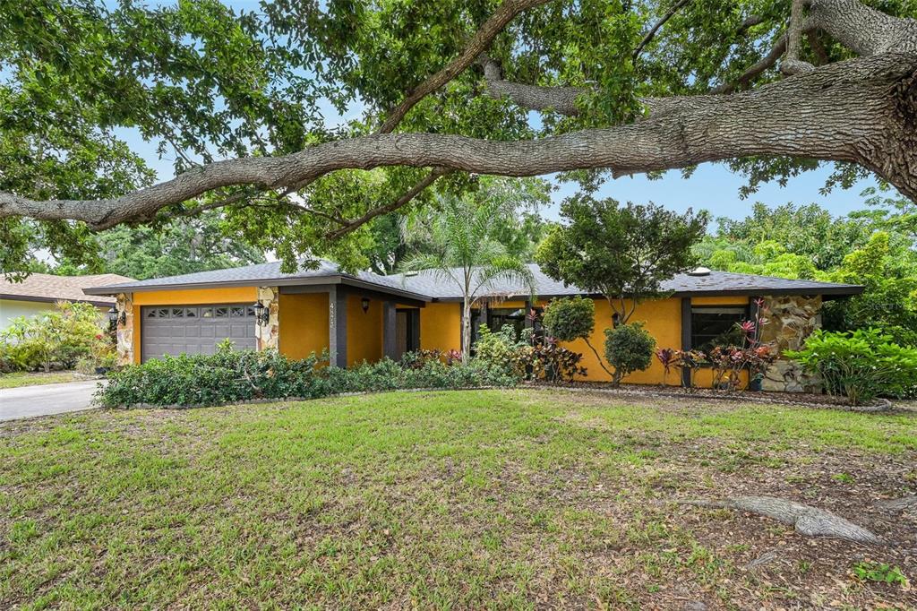 A single-story house with yellow stucco walls, stone accents, and a large tree in front — 4873 HUNTLEIGH DRIVE, SARASOTA, FL