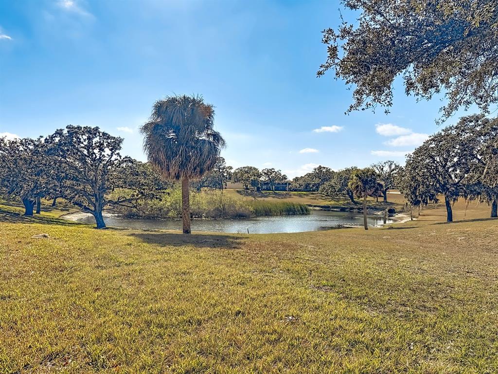 A grassy lawn slopes down toward a small pond surrounded by trees and palm trees — 11431 DOLLAR LAKE DRIVE UNIT 1, PORT RICHEY, FL