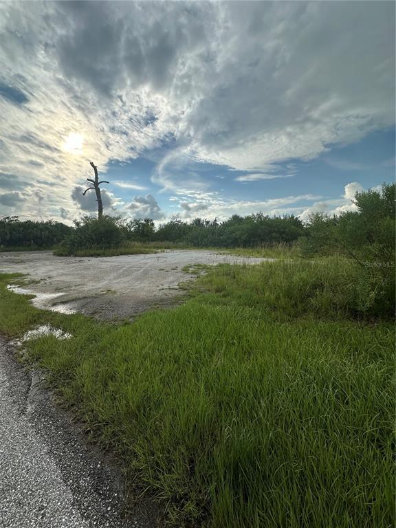 A grassy, partially cleared lot features a single dead tree under a cloudy sky — 4356 KERRIGAN CIRCLE, PORT CHARLOTTE, FL