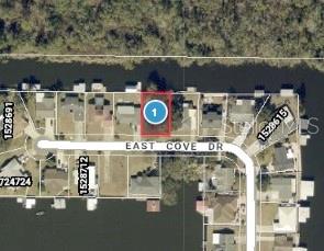 E COVE DRIVE, TAVARES, FL — photo 2 of 2