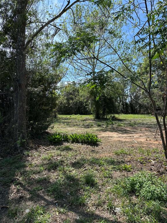 A grassy, partially wooded vacant lot with scattered trees under a clear blue sky — 0000 STATE ROAD 19, GROVELAND, FL