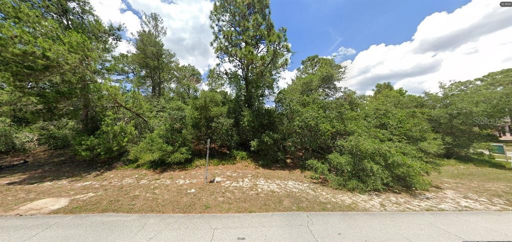 A vacant, wooded residential lot sits behind a paved road under a partly cloudy sky — YORKSHIRE DR STREET, DELTONA, FL