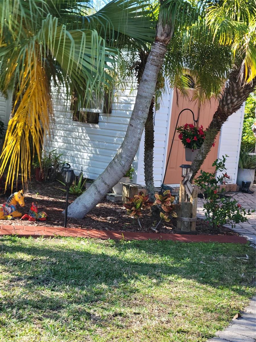 A small white shed with a peach-colored door sits behind palm trees and landscaping — 3755 SE 6th Glen, Okeechobee FL 34974, OKEECHOBEE, FL