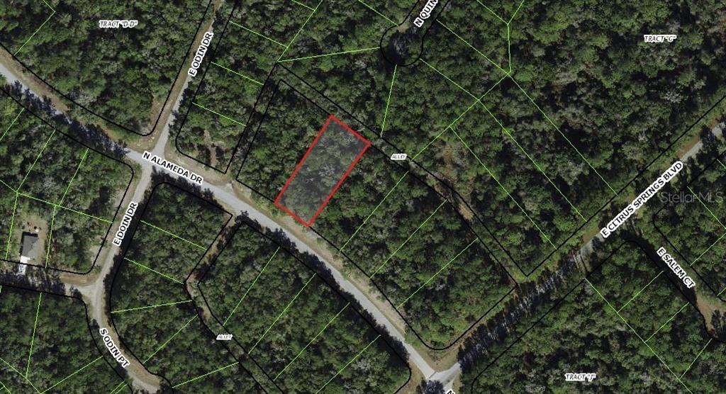 This is an aerial map showing a highlighted rectangular plot of land — 8755 N ALAMEDA DRIVE, DUNNELLON, FL