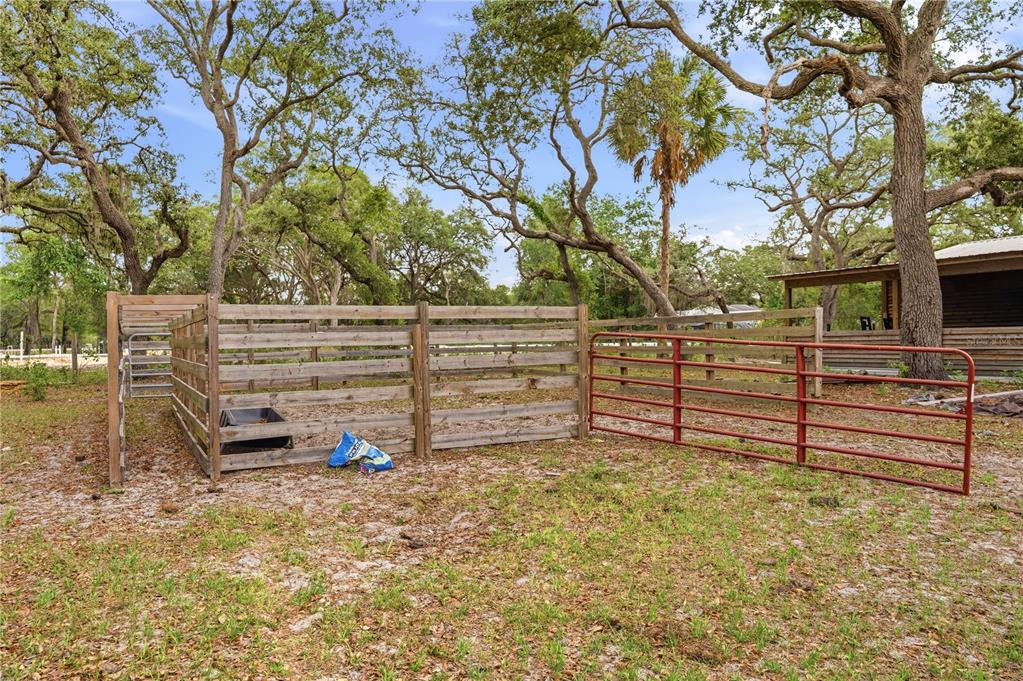 A wooden livestock pen and a red metal gate sit in a grassy, tree-filled yard — 14405 AMY LANE, HUDSON, FL