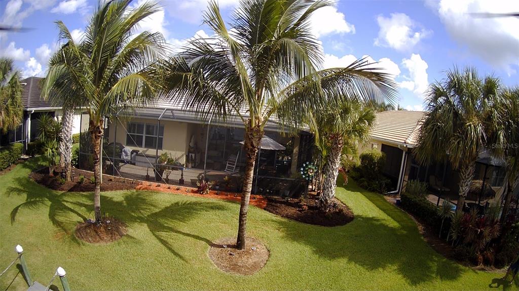 An aerial view of a backyard with palm trees, a screened-in patio, and green lawn — 5117 TIDEWATER PRESERVE BOULEVARD, BRADENTON, FL