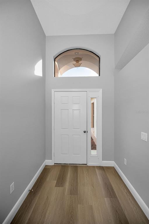 An entryway features light gray walls, wood-look flooring, and a door with a transom window — 6240 FAIRSKIES DRIVE, NEW PORT RICHEY, FL