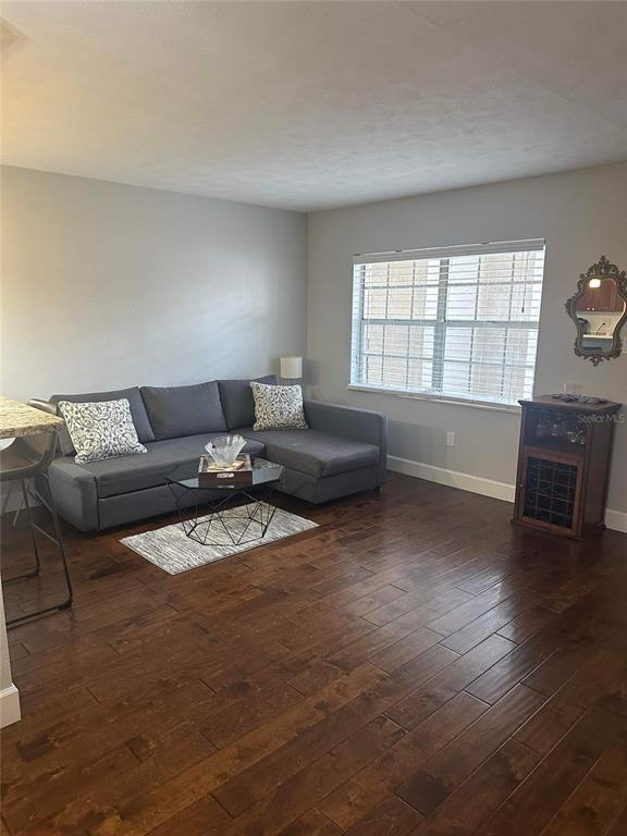 A living room features a grey sectional sofa, a coffee table, and dark wood flooring — 3718 W MCKAY AVENUE UNIT 101, TAMPA, FL