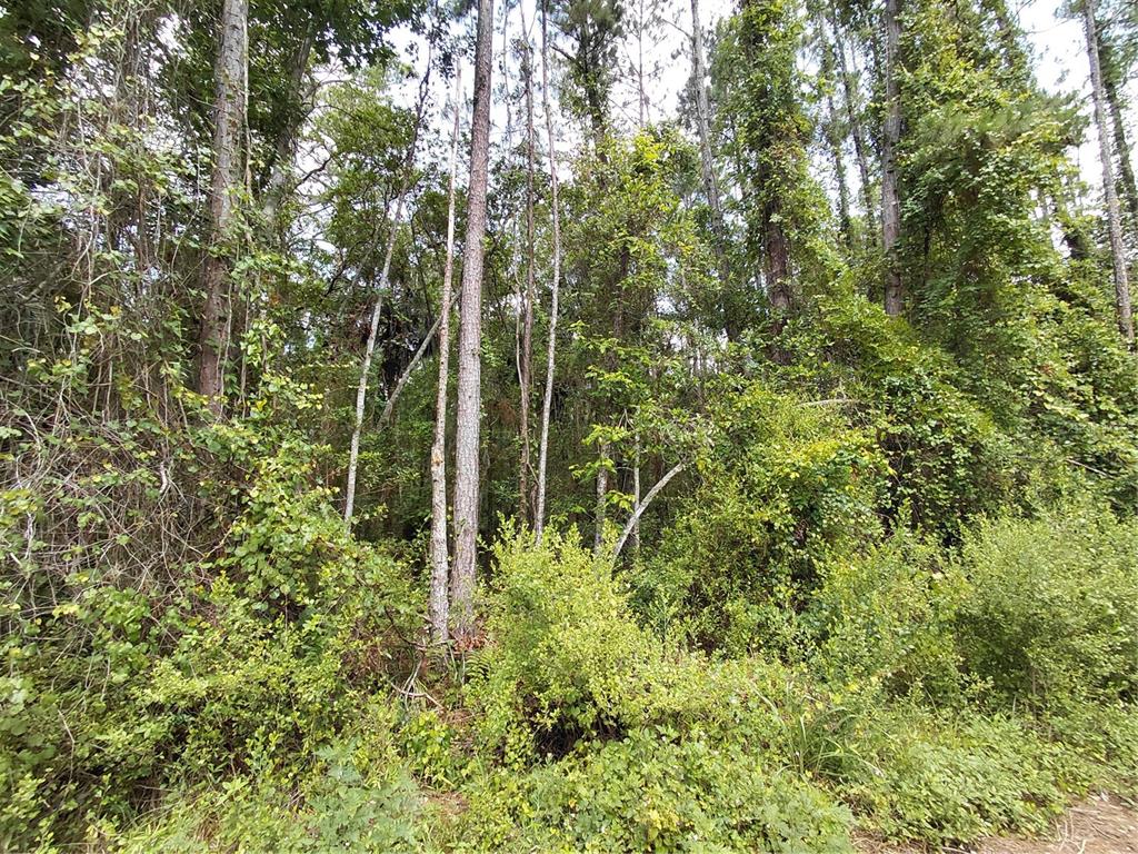 JAMES STREET, ASTOR, FL — photo 2 of 2