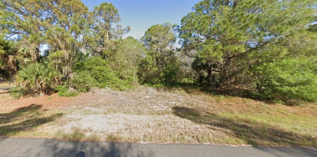 A vacant, wooded residential lot is viewed from the adjacent paved road — 1255 MILIKEN TERRACE, PORT CHARLOTTE, FL