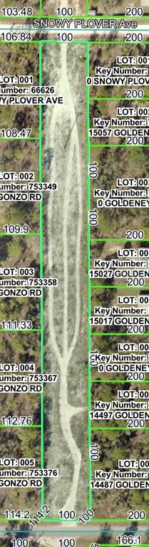 This is a satellite map view showing a narrow, rectangular plot of land with trails — SNOWY PLOVER AVENUE, BROOKSVILLE, FL