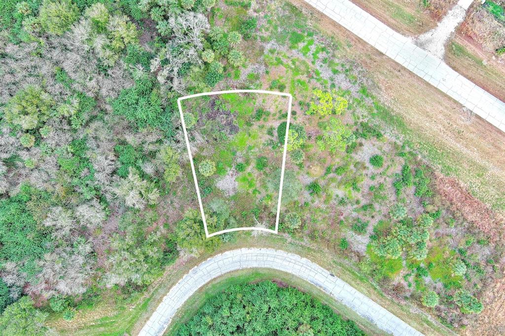 An aerial view shows a vacant, trapezoidal-shaped residential lot outlined in white near a road — 171 CAROUSEL AVENUE, LABELLE, FL
