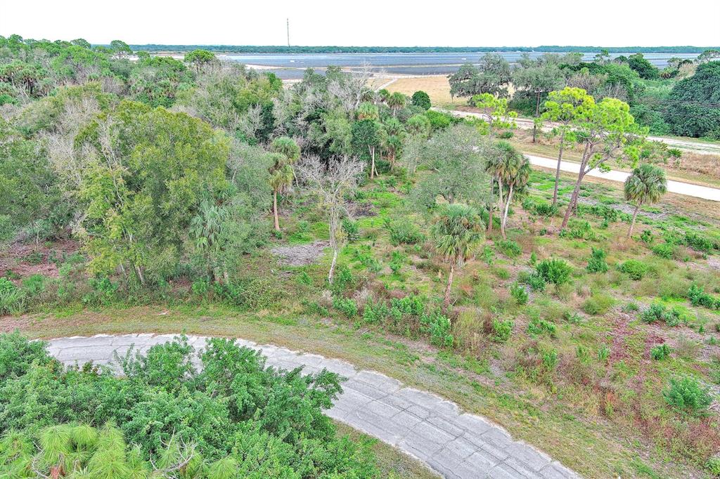 An aerial view shows a paved road curving through a wooded lot with scattered palm trees — 171 CAROUSEL AVENUE, LABELLE, FL