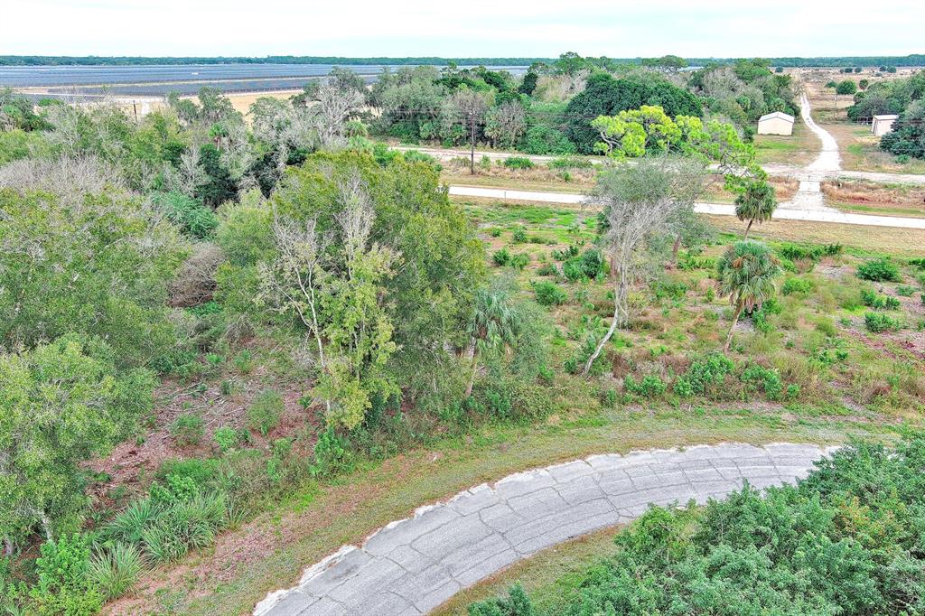 An aerial view shows a paved road curving through a wooded lot near a solar farm — 171 CAROUSEL AVENUE, LABELLE, FL