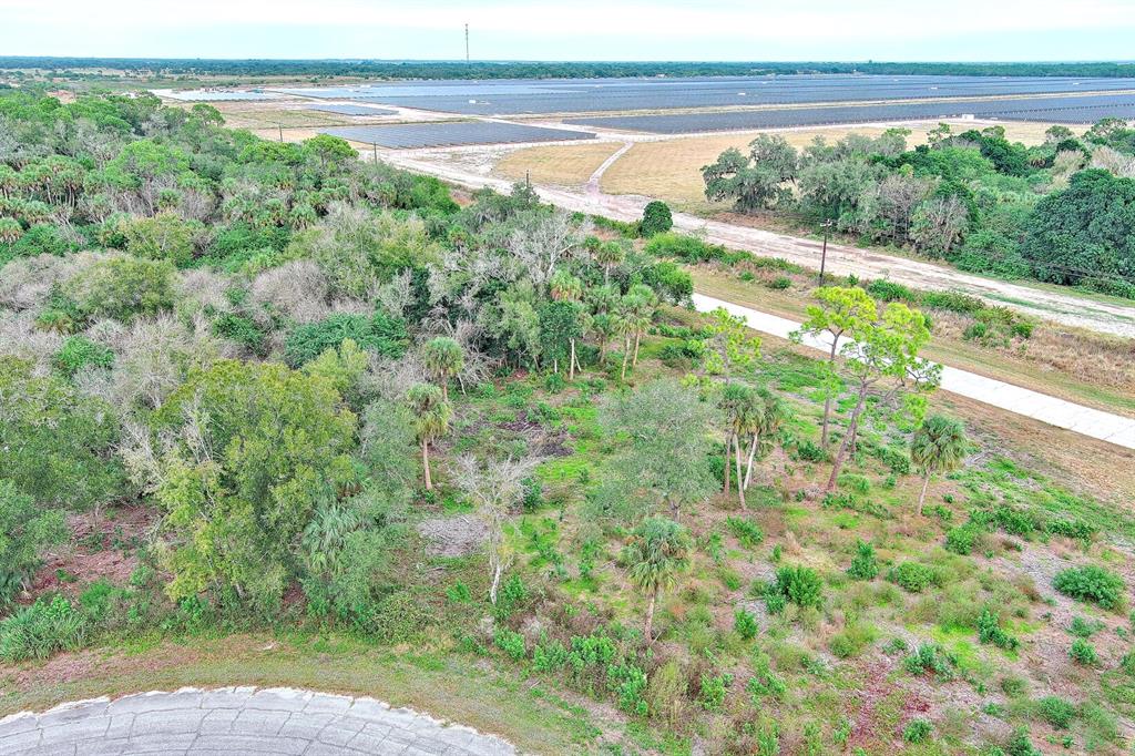 An aerial view shows a wooded lot adjacent to a paved road and solar farm — 171 CAROUSEL AVENUE, LABELLE, FL