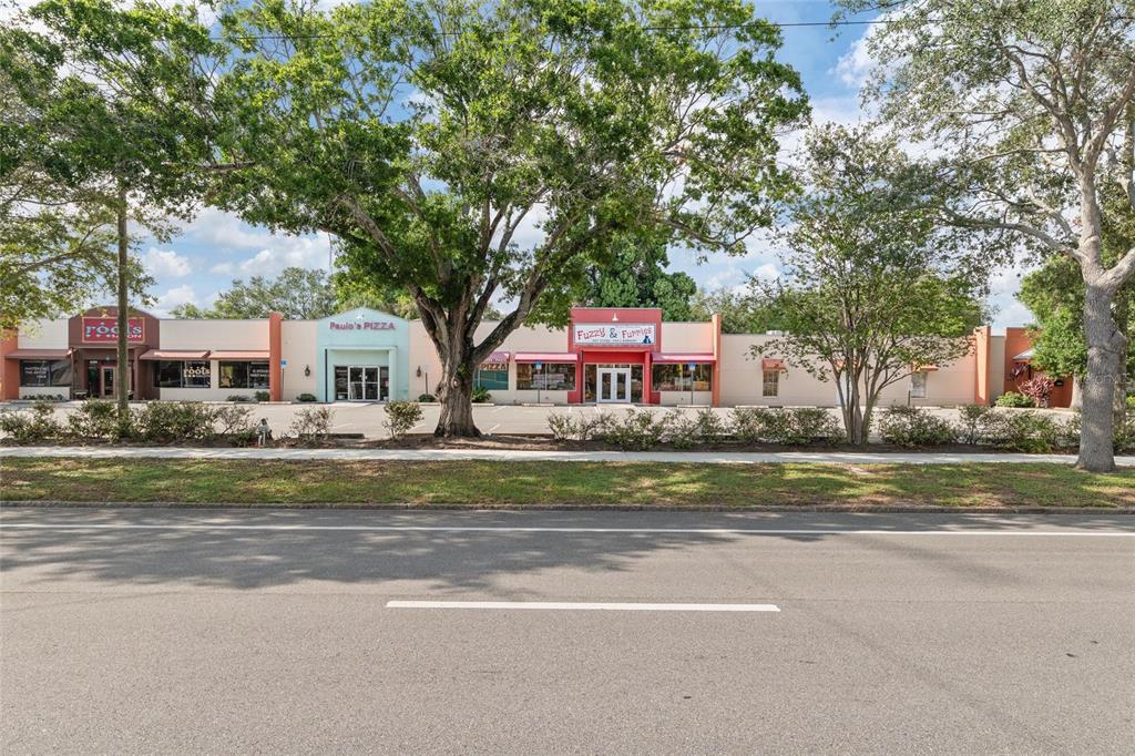 A row of single-story commercial storefronts sits behind a parking lot and large trees — 6295 CENTRAL AVENUE, ST PETERSBURG, FL