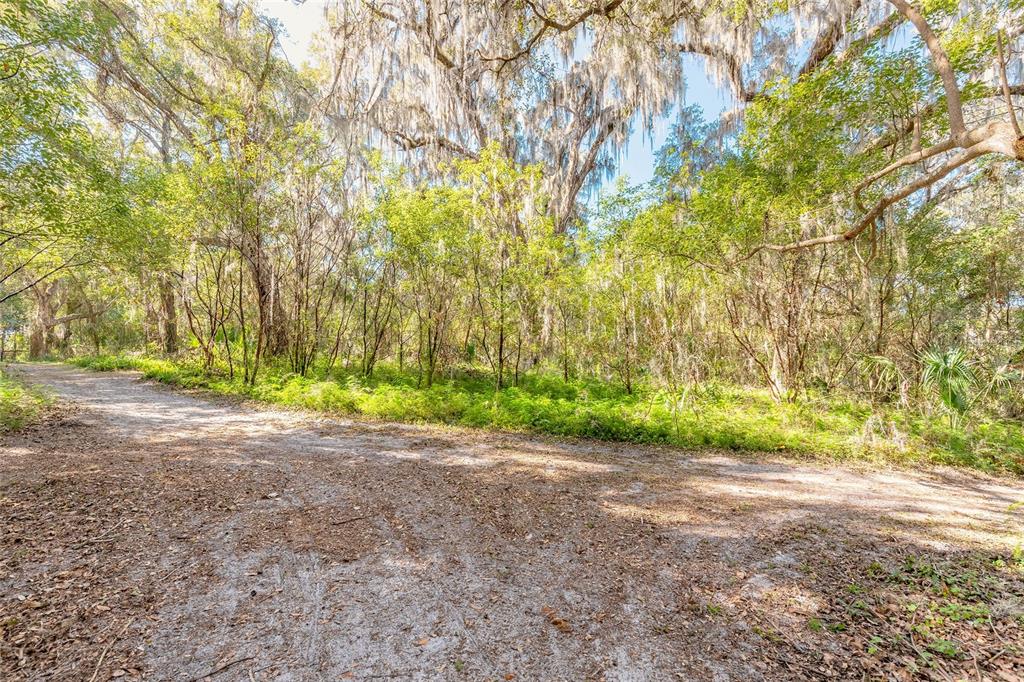 A dirt path leads through a wooded area lined with trees draped in Spanish moss — 2095 STONE ROAD, DELAND, FL