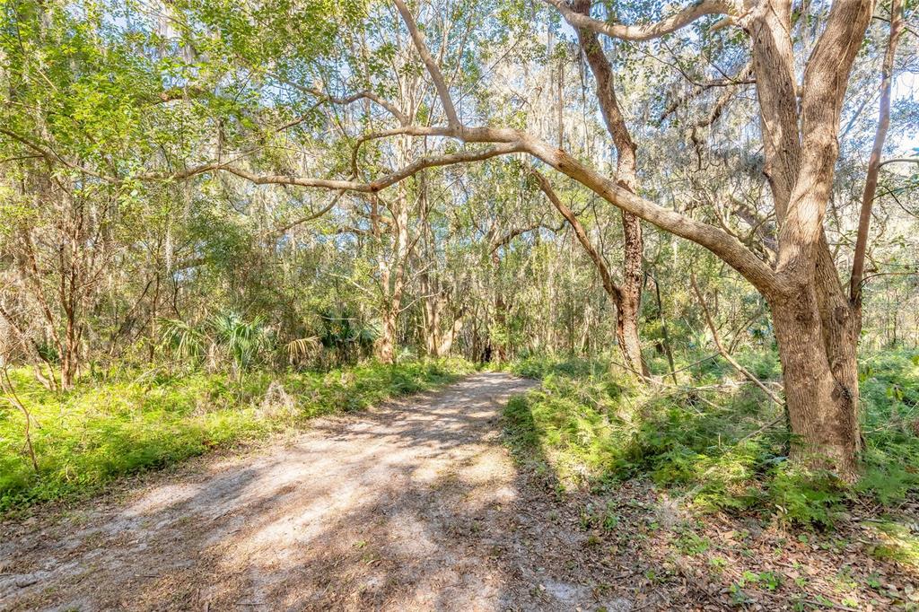 A dirt path leads into a wooded area filled with trees draped in Spanish moss — 2095 STONE ROAD, DELAND, FL