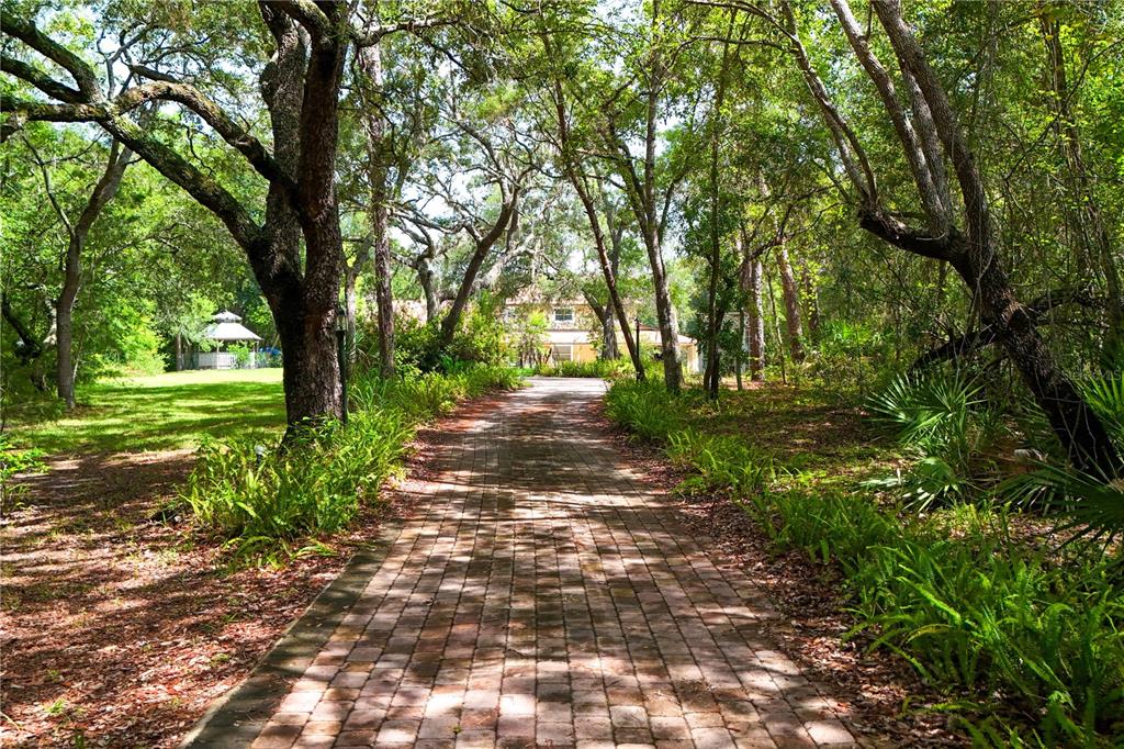 A brick driveway leads through a wooded yard toward a house with a distant gazebo — 230 E PANAMA ROAD, WINTER SPRINGS, FL