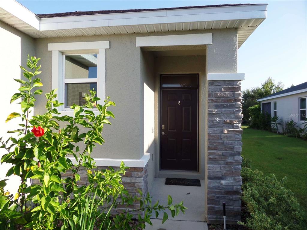 A front entryway features a dark door, stone veneer accents, and a nearby hibiscus plant — 8051 PENROSE PLACE, WILDWOOD, FL